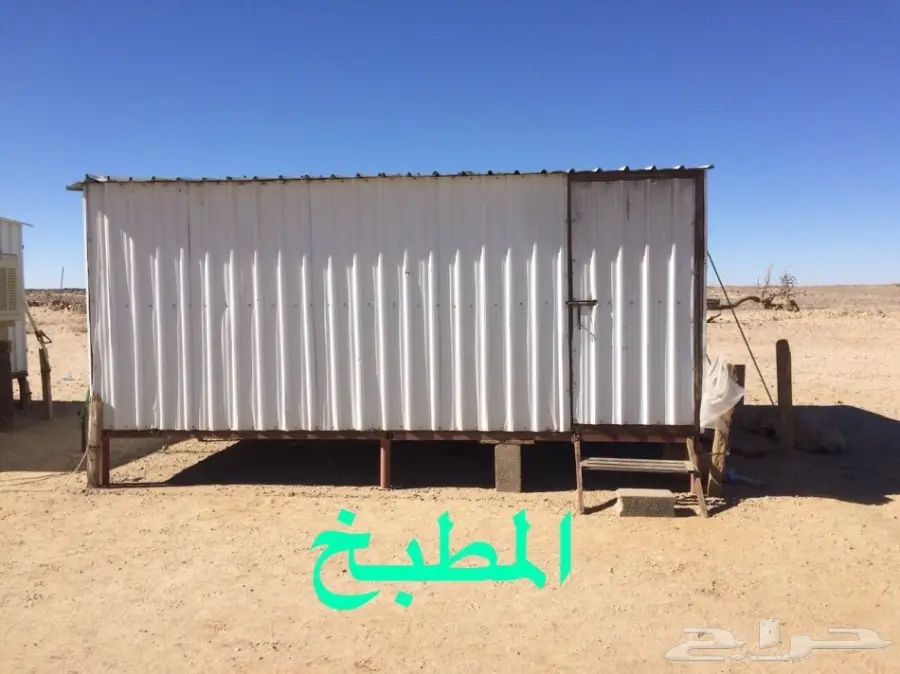 غنم للبيع (image 25)