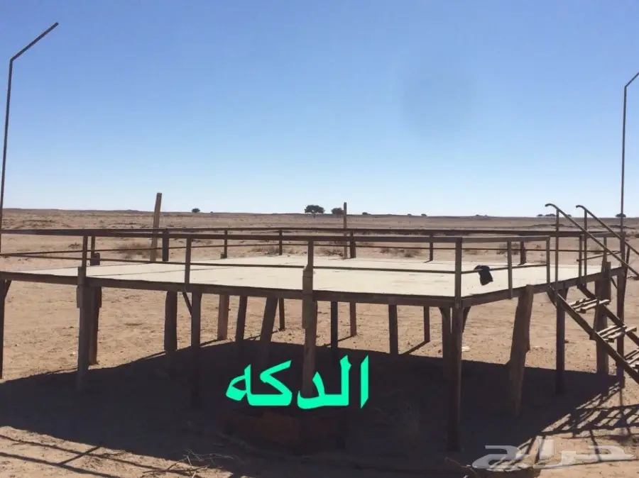 غنم للبيع (image 26)