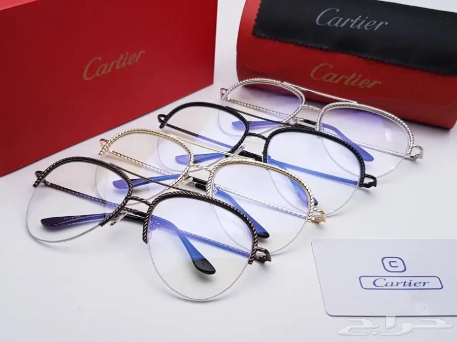 نظارات شتوية وبراويز طبية 2018 (image 40)