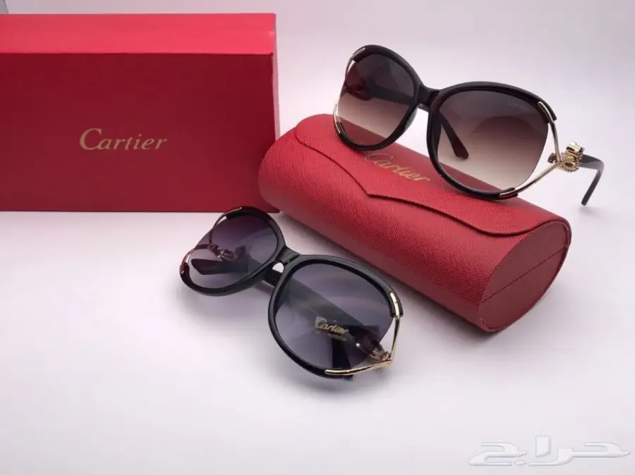 نظارات شتوية وبراويز طبية 2018 (image 52)