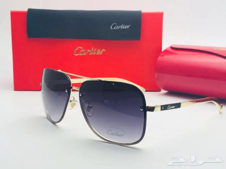 نظارات شتوية وبراويز طبية 2018 (image 346)