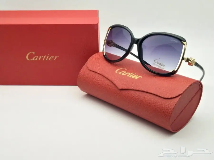 نظارات شتوية وبراويز طبية 2018 (image 396)