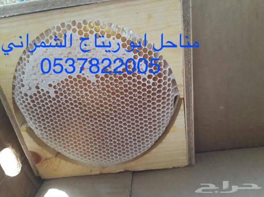 عسل سدر عسل سمر عسل طلح مفحوص مخبريا (image 14)