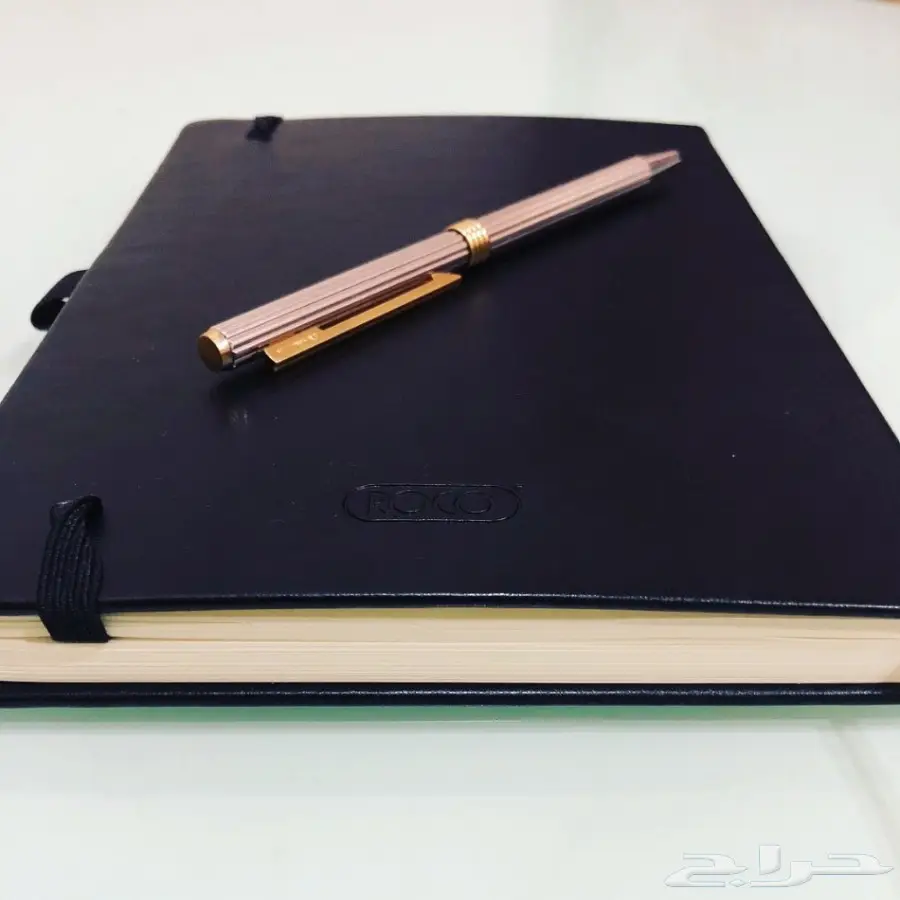 قلم كريستين ديور فضة 