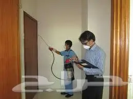 رش مبيدات مكافحة حشرات رش دفان صراصير فئران (image 7)