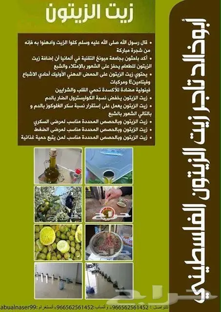 زيت زيتون فلسطيني عصرة أولى بكر ممتاز جديد (image 22)