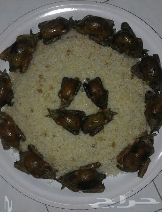 أشهى الاكلات المصرية (image 1)