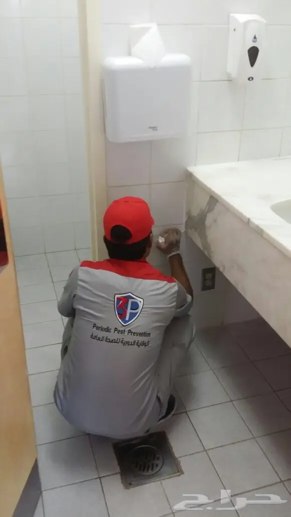 رش مبيدات للحشرات شوف الصور والاعلان (image 5)