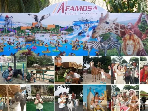 بكدج شهر عسل سياحى بماليزيا خمس نجوم 14 يوم (image 39)