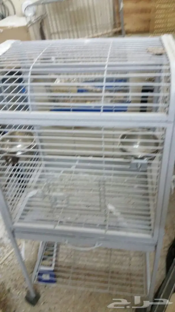 اقفاص انتاج للطيور 601 (image 9)