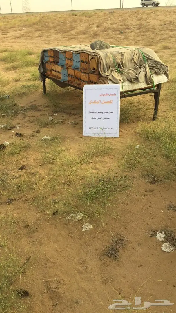 عسل عسل سدر مضمون على الشرط 10الاف اذا مغشوش  (image 1)