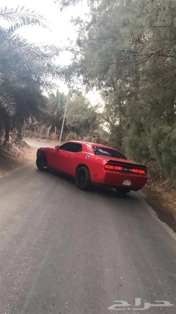 دودج تشالنجر 2014 (image 1)