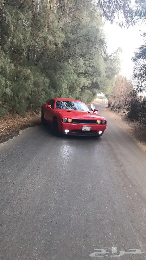 دودج تشالنجر 2014 (image 2)