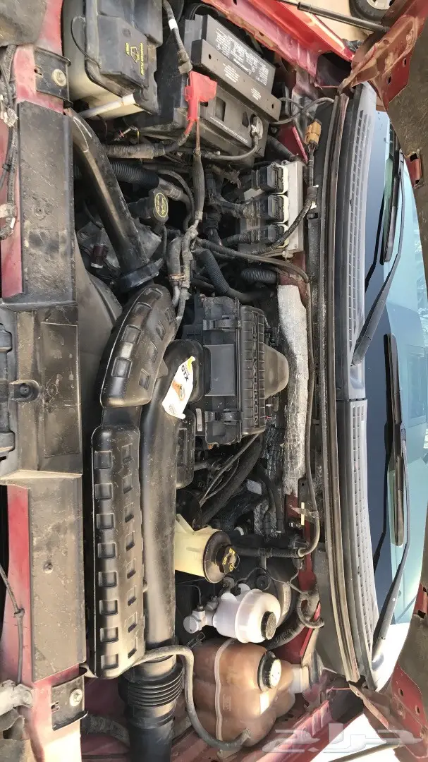 فورد F-150  غمارتين  (image 15)