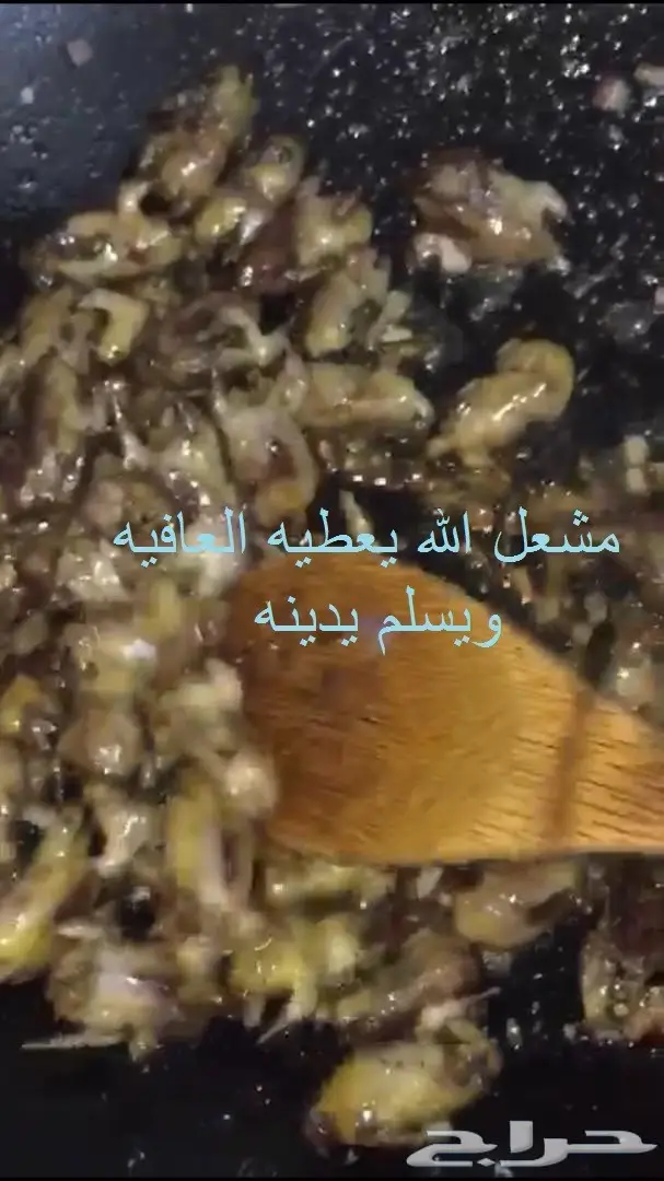 صيد دخل طازج فرش هذا الموسم (image 4)