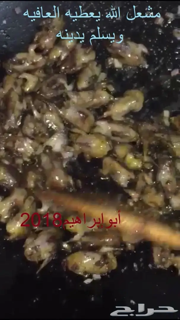 صيد دخل طازج فرش هذا الموسم (image 5)