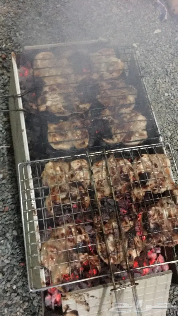 سمان جمله وتفريد  (image 2)