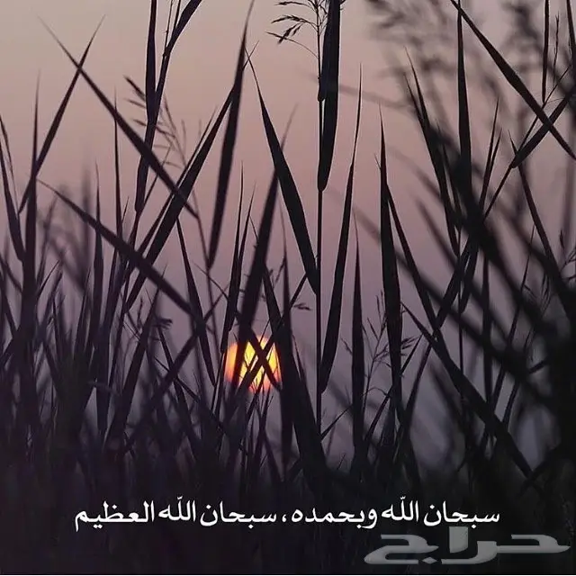 مقيم يمني يبحث عن عمل يوجد خبره