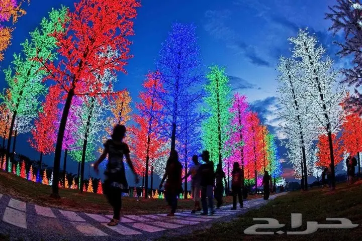 برنامج سياحى 15 يوم بماليزيا اربع نجوم لشخصين (image 37)