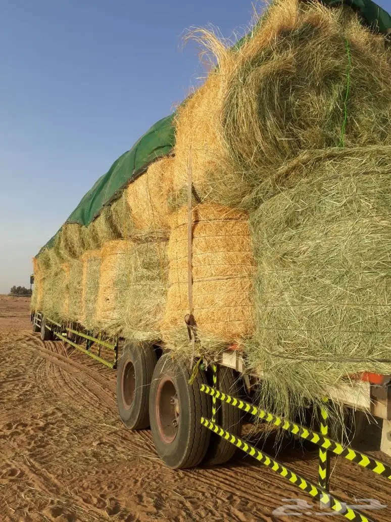 رودس للبيع حملة تريله 70حبه ناعم