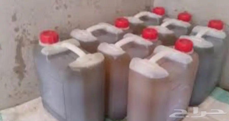 بيع سليط بلدي (زيت سمسم ) (image 1)