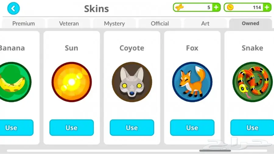 اقاريو (image 10)