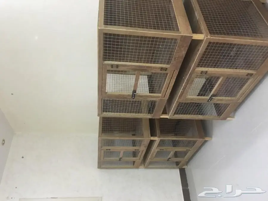 أقفاص للبيع (image 1)