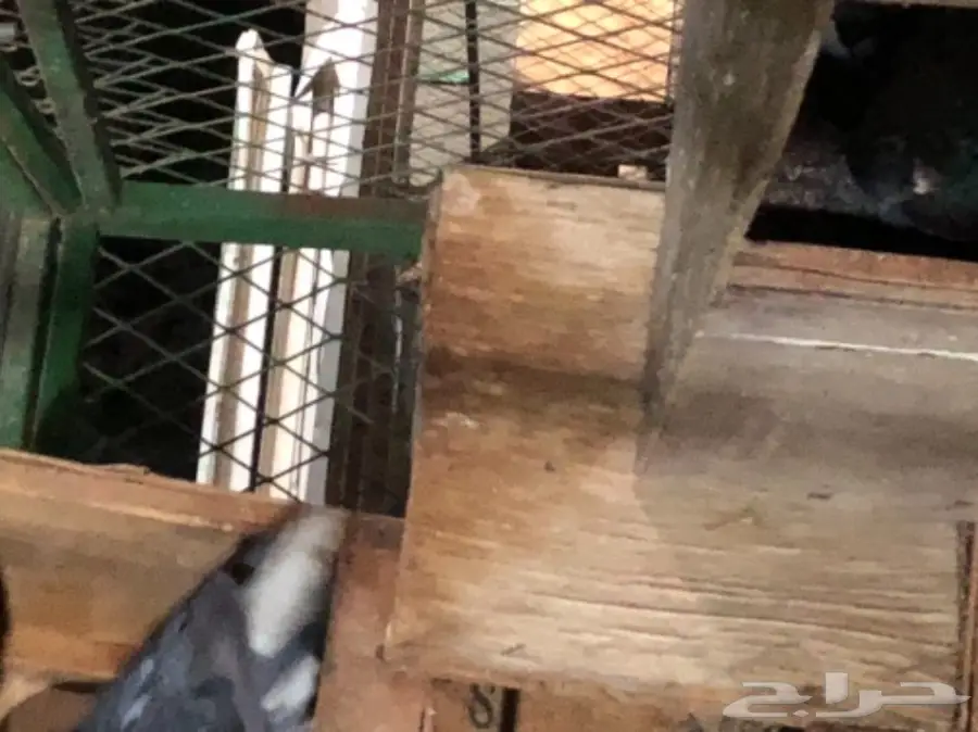 للبيع  (image 16)