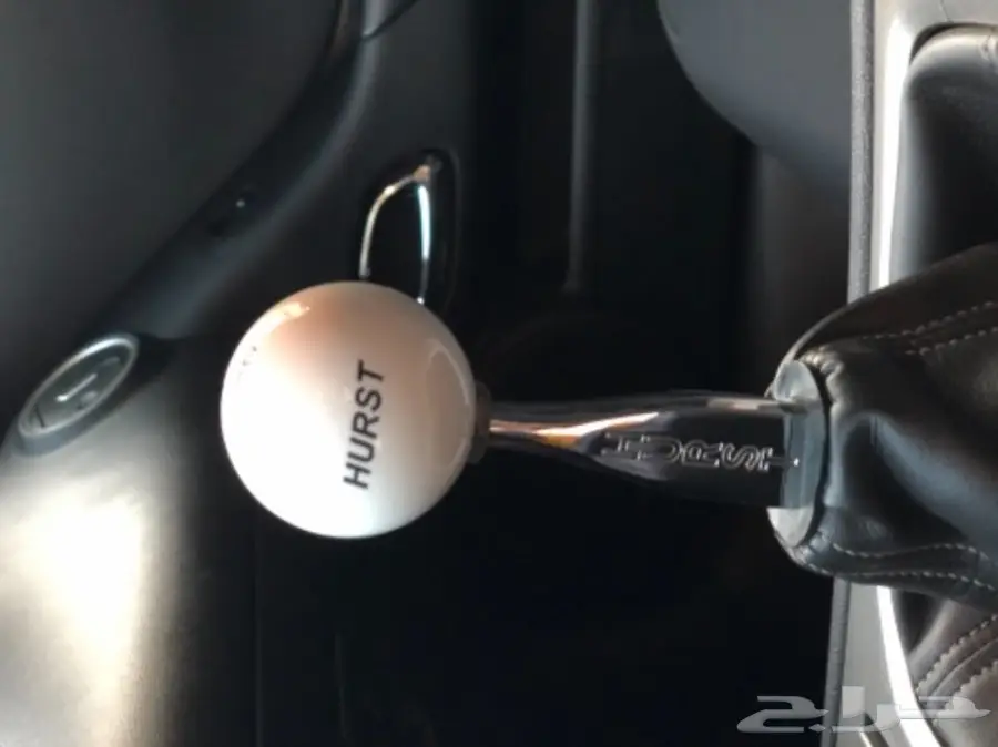 كمارو SS 2011  (image 6)