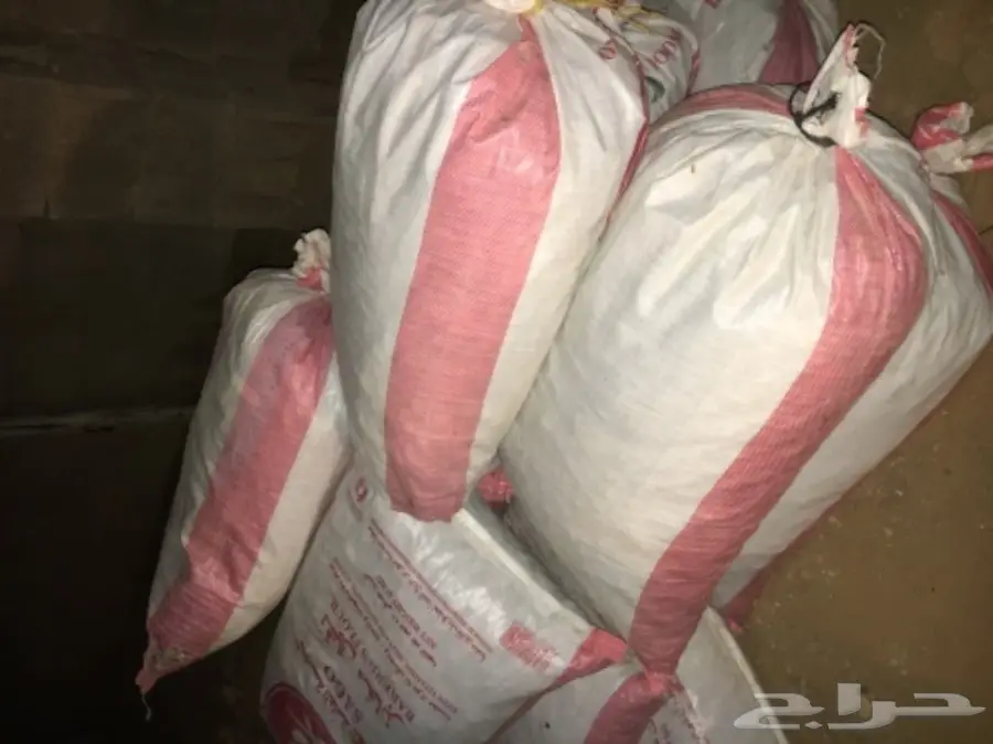 تمر علف للغنم