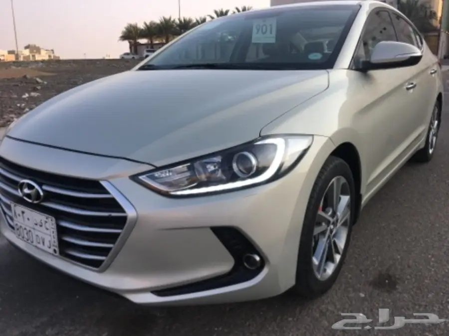 النترا 2017 نص فل بودي وكالة  (image 5)