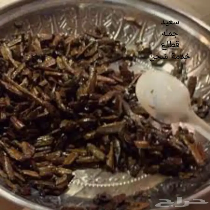 جملة فاخر مسك أبيض كبير جملةو شحن ع الشرط 4