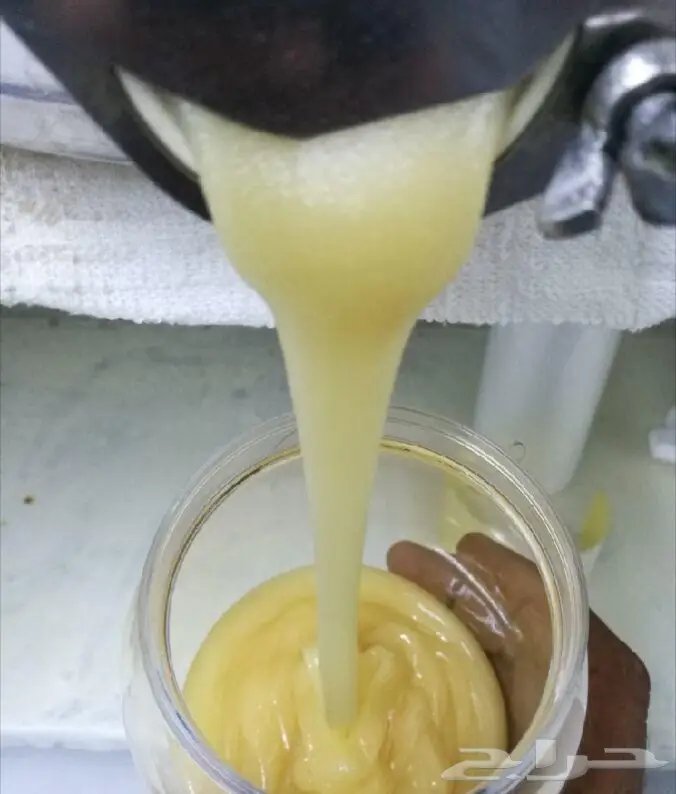 عودلاوسي بورمي جنوب تايلند ماليزي وتايلندي 14