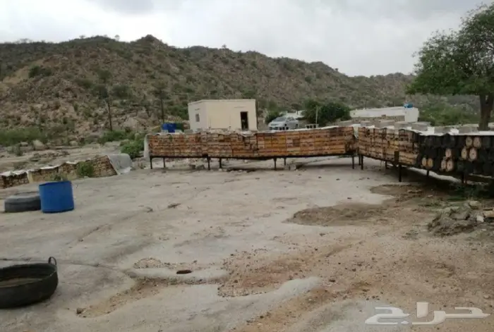 عودلاوسي بورمي جنوب تايلند ماليزي وتايلندي 12