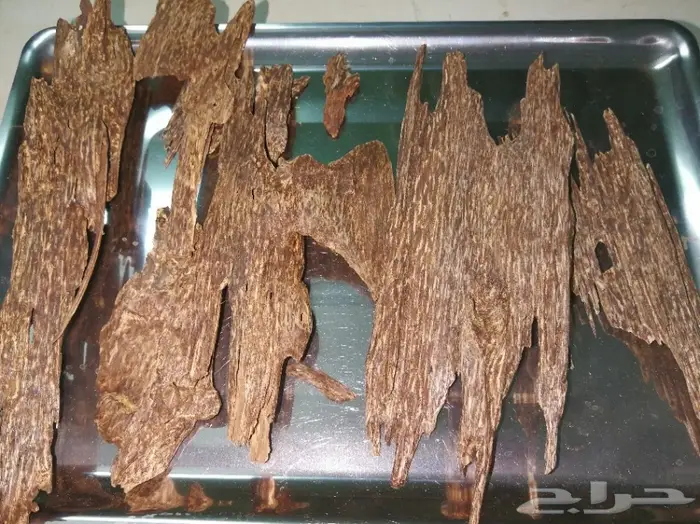 عودلاوسي بورمي جنوب تايلند ماليزي وتايلندي 3