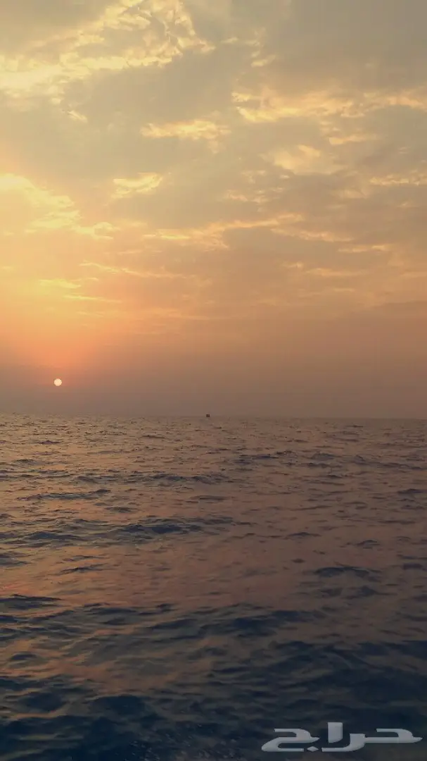 قارب رحلات بحريه بجازان (صيد-نزهه-غوص) 2