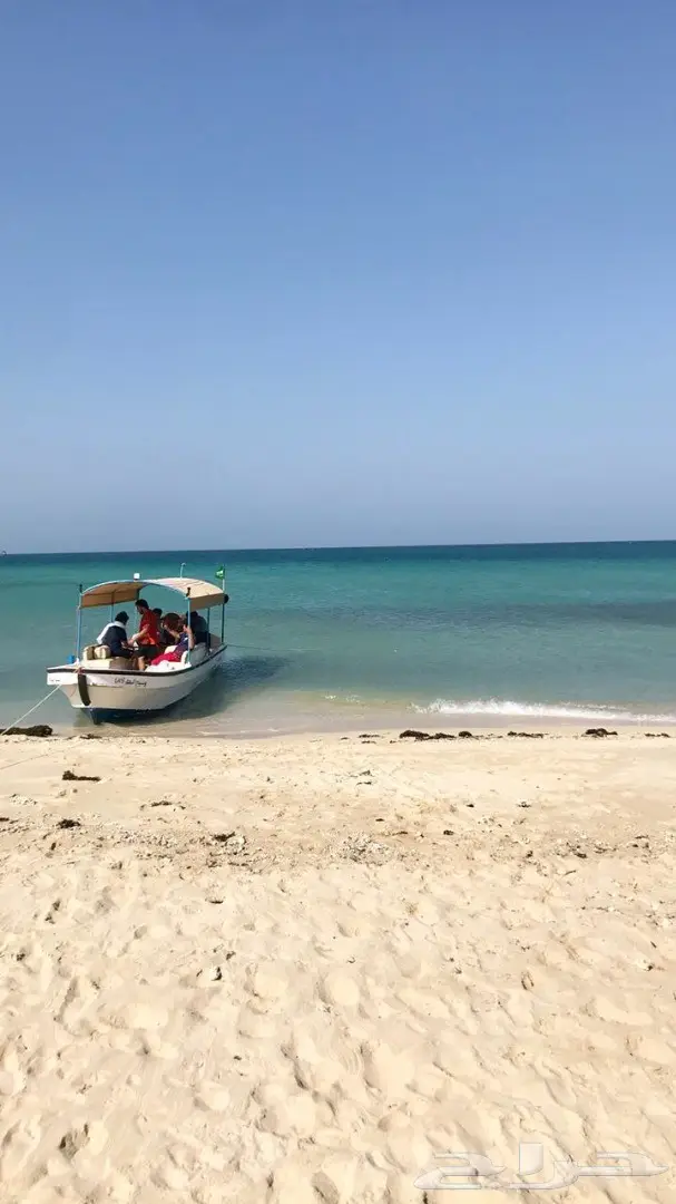 قارب رحلات بحريه بجازان (صيد-نزهه-غوص) 8