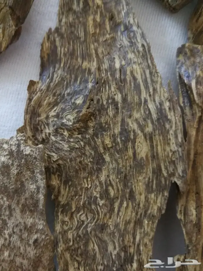 العود اللاوسي النادر والدهن التايلندي الملكي 6