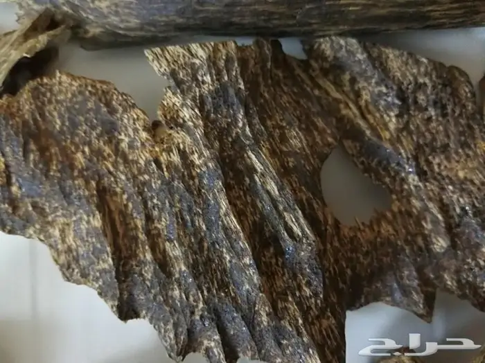 العود اللاوسي النادر والدهن التايلندي الملكي 5