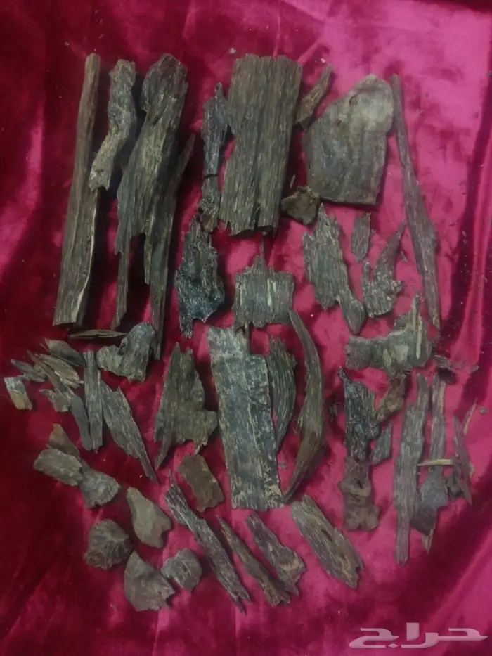 كمبودي وترابي تايلندي ولاوسي وكاوياي 5