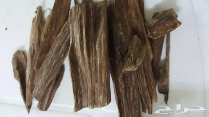 كمبودي وترابي تايلندي ولاوسي وكاوياي 14