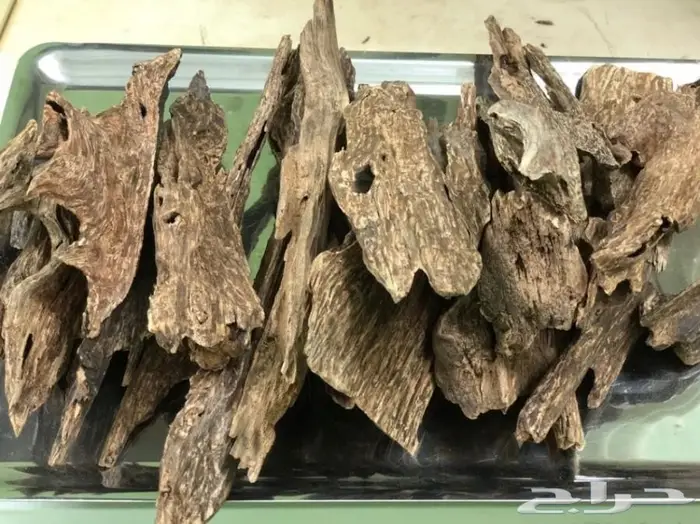 كمبودي وترابي تايلندي ولاوسي وكاوياي 2