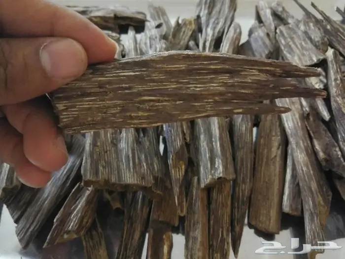 كمبودي وترابي تايلندي ولاوسي وكاوياي 8