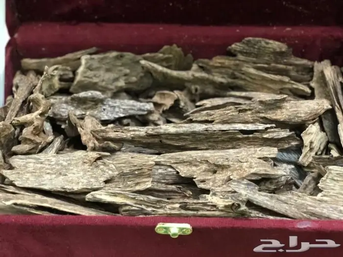 كمبودي وترابي تايلندي ولاوسي وكاوياي 21