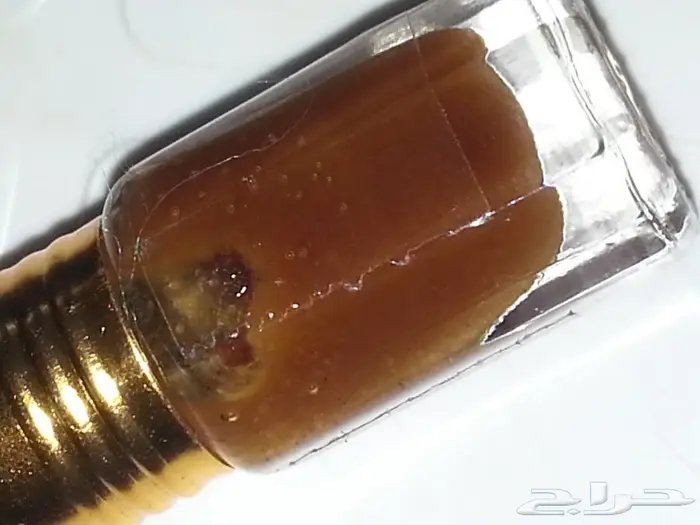 كمبودي وترابي تايلندي ولاوسي وكاوياي 19