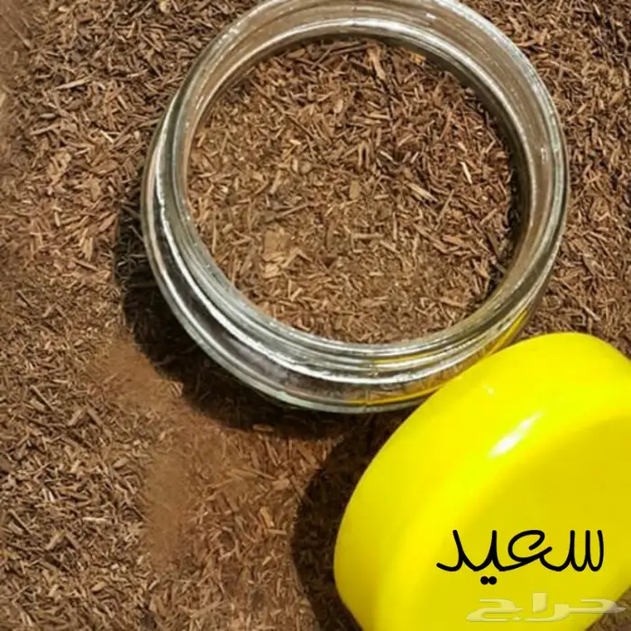 مسك ابيض ع الشرط وورد وعود وشحن وتوصيل 4