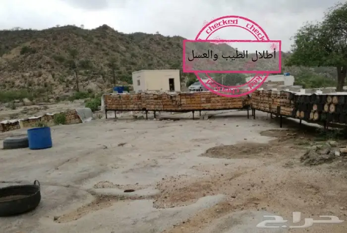 متخصصون في الدهن الملكي وعود الغابات الطبيعيه 10