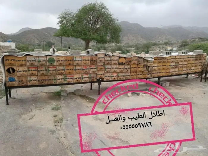 متخصصون في الدهن الملكي وعود الغابات الطبيعيه 8