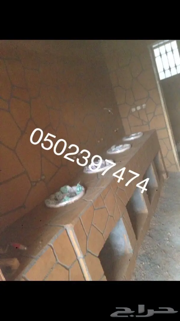 استراحات مساجد مجالس تراثية جميع اعمال التراث 78