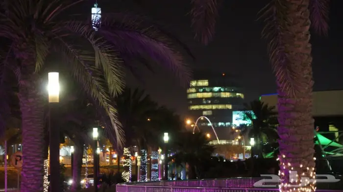 تصوير جوي للمباني والاستراحات والفلل 200 ريال 5